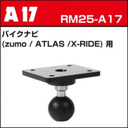 rm25-a17