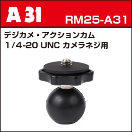 rm25-a31