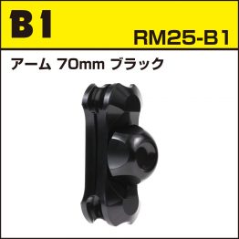 rm25-b1