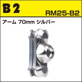 rm25-b2